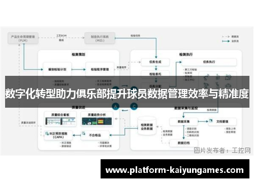 数字化转型助力俱乐部提升球员数据管理效率与精准度