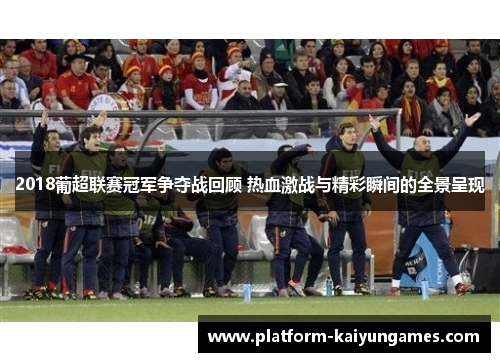 2018葡超联赛冠军争夺战回顾 热血激战与精彩瞬间的全景呈现
