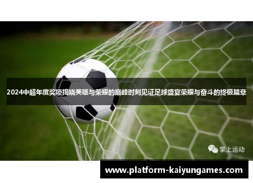 2024中超年度奖项揭晓英雄与荣耀的巅峰时刻见证足球盛宴荣耀与奋斗的终极篇章