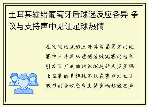 土耳其输给葡萄牙后球迷反应各异 争议与支持声中见证足球热情