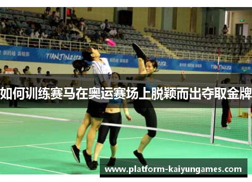 如何训练赛马在奥运赛场上脱颖而出夺取金牌