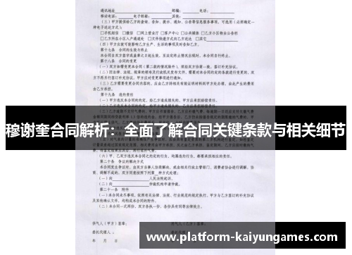 穆谢奎合同解析：全面了解合同关键条款与相关细节