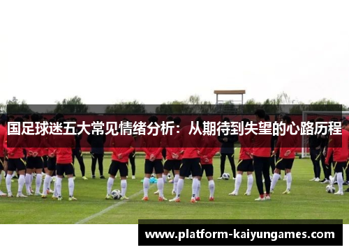 国足球迷五大常见情绪分析：从期待到失望的心路历程