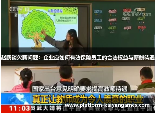 赵鹏谈欠薪问题：企业应如何有效保障员工的合法权益与薪酬待遇