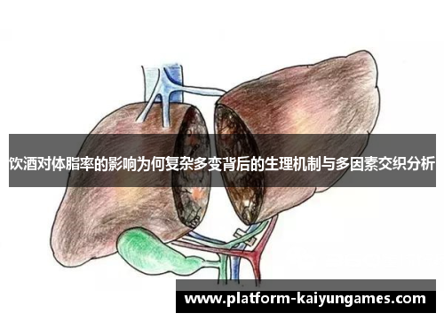 饮酒对体脂率的影响为何复杂多变背后的生理机制与多因素交织分析 饮酒对体脂率的影响为何复杂多变背后的生理机制与多因素交织分析